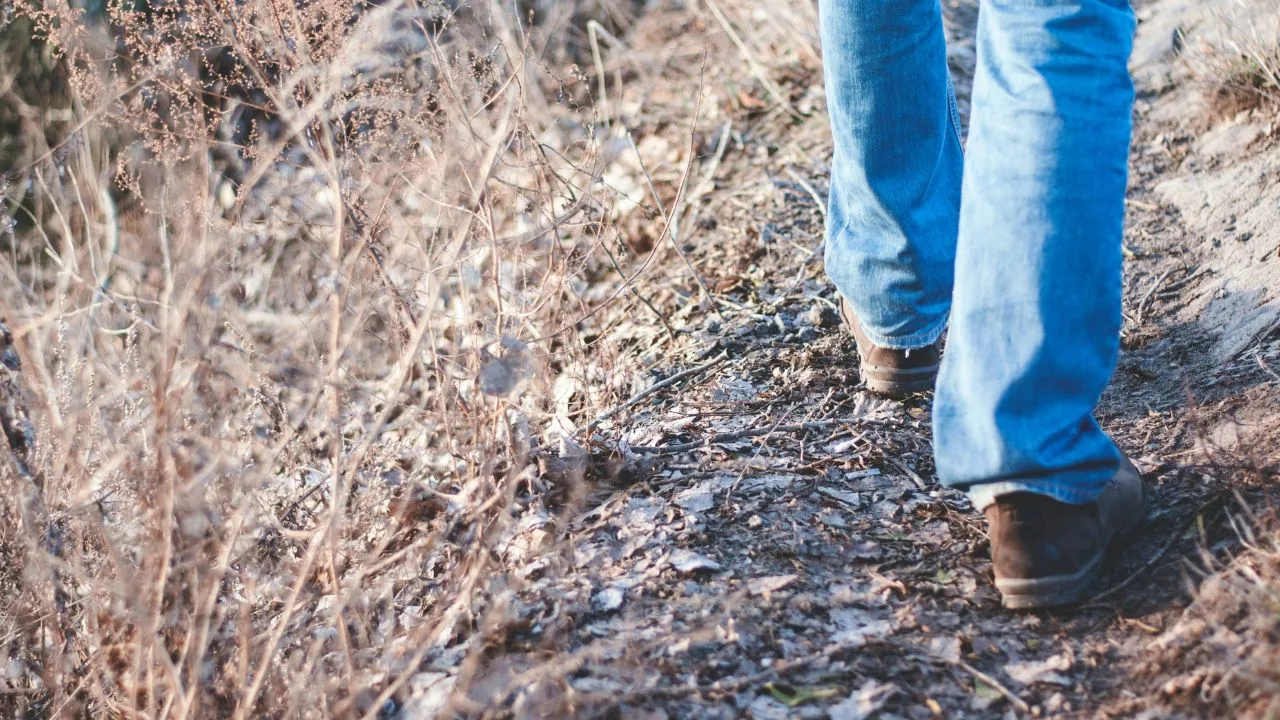 Business Coaching im Freien: die Beine einer Person in Jeans und braunen Schuhen auf einem bräunlichen Waldweg